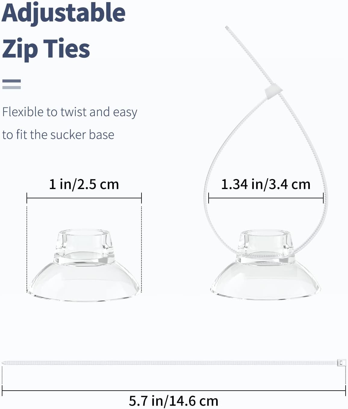 Aquarium decoration and shrimp dodging nest secured with plastic suction holders.