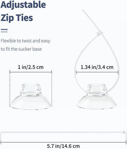 Aquarium decoration and shrimp dodging nest secured with plastic suction holders.