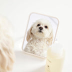 Vegan and cruelty-free pet shampoo by Ouai