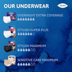 Full product bundle showing the four individual packs of fourteen count included in the bulk box.