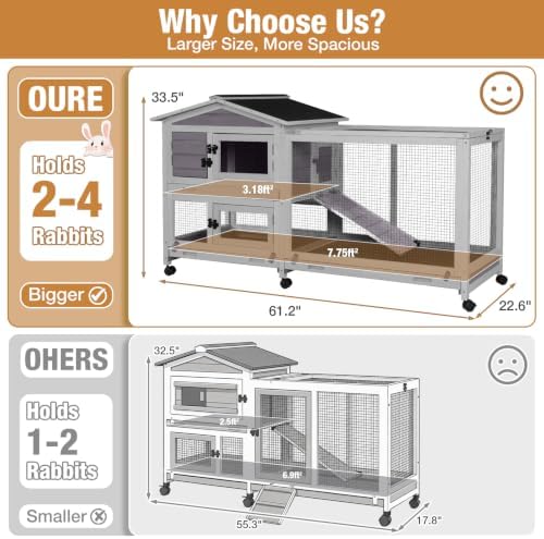 Outdoor small animal habitat with open roof design