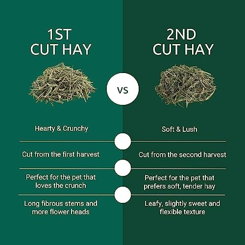 Kaytee 6.5 pound timothy hay package texture detail