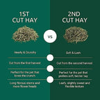 Kaytee 6.5 pound timothy hay package texture detail