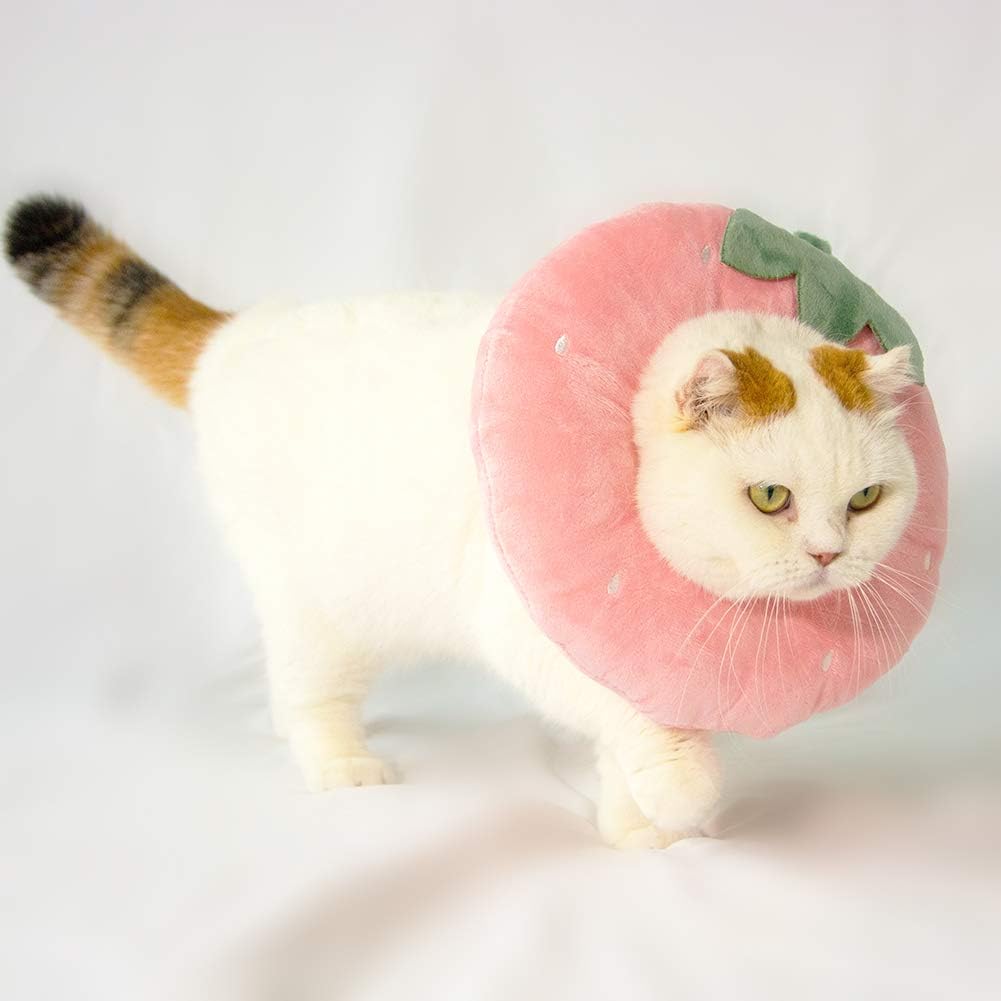 Soft padded cat cone collar for post-surgery protection
