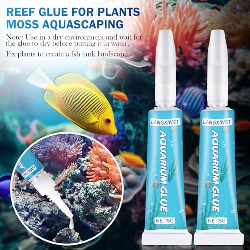 Black tweezers tool applying adhesive to a live aquarium plant rhizome