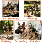 CNSYAF anti scavenging dog training muzzle demonstrating panting and drinking clearance