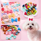 Senniea pet hair bows showing the stretchable rubber band back