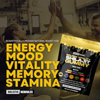 Organic Shilajit botanical extract gummies ingredient highlights
