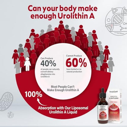 Natisland liposomal pomegranate extract supplement box
