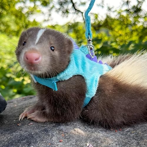 Dinosaur shaped small pet harness laid flat showcasing the premium breathable plush fleece interior lining.