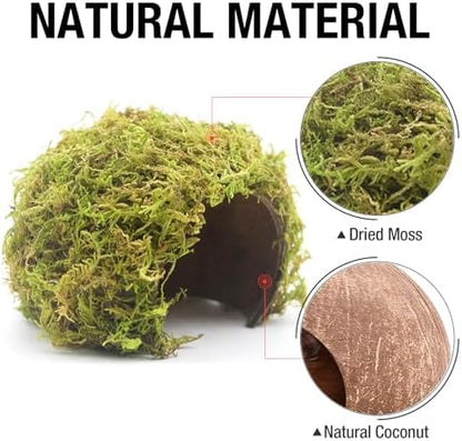 Hamster Hideout - Large, Natural Moss, Handcrafted for Syrian Hamsters, Rats & Guinea Pigs, Safe & Eco-Friendly - Image 3