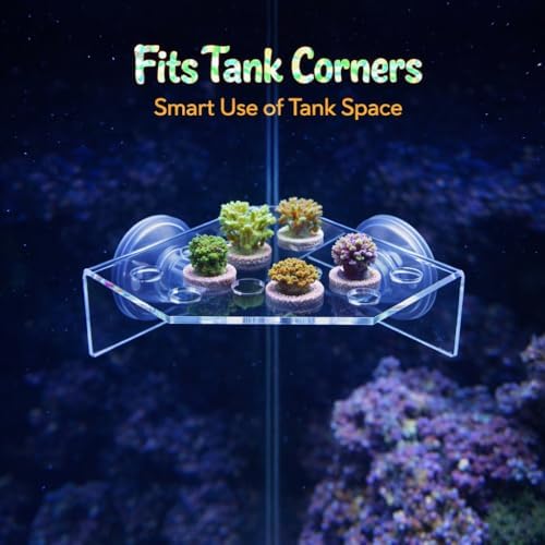 Side profile view of the clear acrylic reef coral propagation frame.
