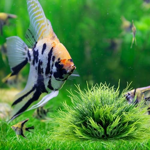 Top angle view of fifteen centimeter artificial aquatic plants showing natural style leaf density