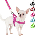 SlowTon no pull dog harness fuchsia front view