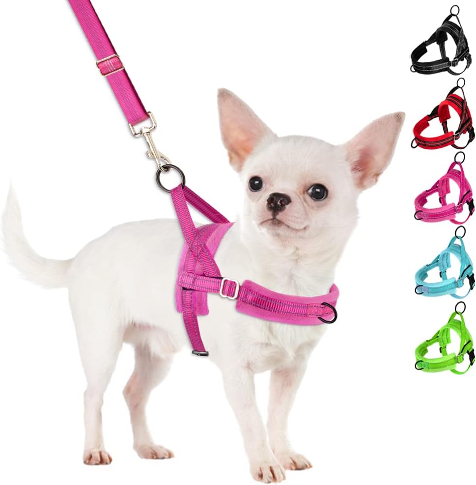 SlowTon no pull dog harness fuchsia front view