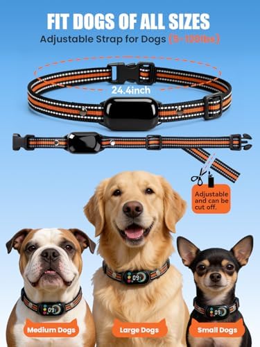 Tallentrol remote dog collar kit featuring the transmitter, collar receiver, and test light tool.