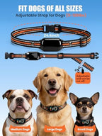 Tallentrol remote dog collar kit featuring the transmitter, collar receiver, and test light tool.