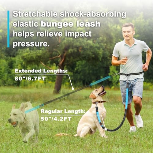 Close up of reflective stitching on premium nylon running dog leash.