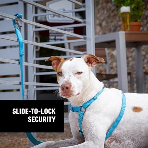 Nite Ize SlideLock Pet S-Biner packaging view featuring three stainless steel S-shape carabiners.