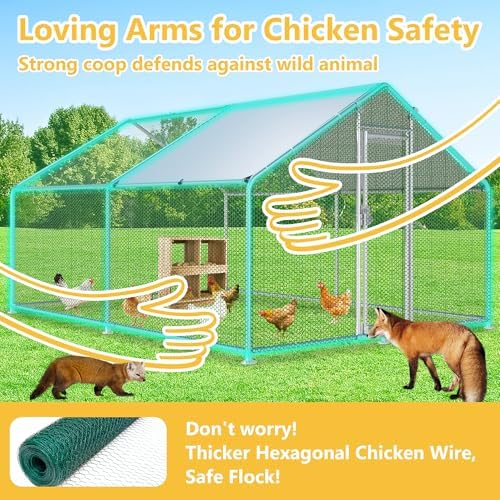 HEASON walk-in poultry cage showing galvanized steel frame construction