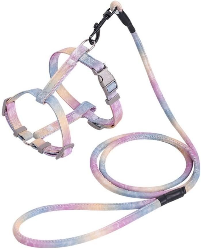 Packaging display of Semeb medium purple cat harness