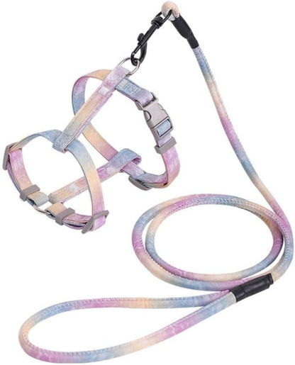 Packaging display of Semeb medium purple cat harness