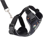RC Pets Adventure Kitty Cat Harness | Adjustable Airmesh Vest with D-Ring and 6ft Leash for Walking and Travel | Marigold, Medium - Image 13