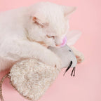 Imported Ipetboom pet plush toy set being handled by an owner