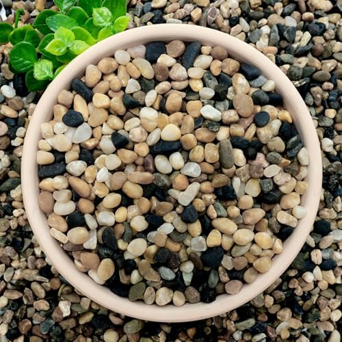 Close up of 1/4 inch natural river rocks texture and color