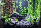 USA sourced natural slate stone for miniature fairy garden