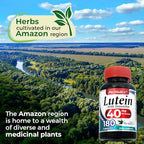 Fito Medic's Lab Lutein and Zeaxanthin supplement packaging layout