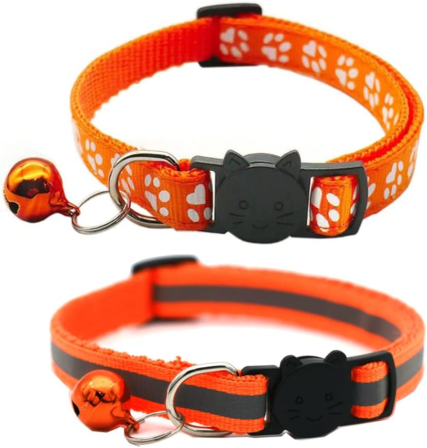 VZSRWGK reflective kitten collar showing the high visibility strip reflecting light in a low light setting