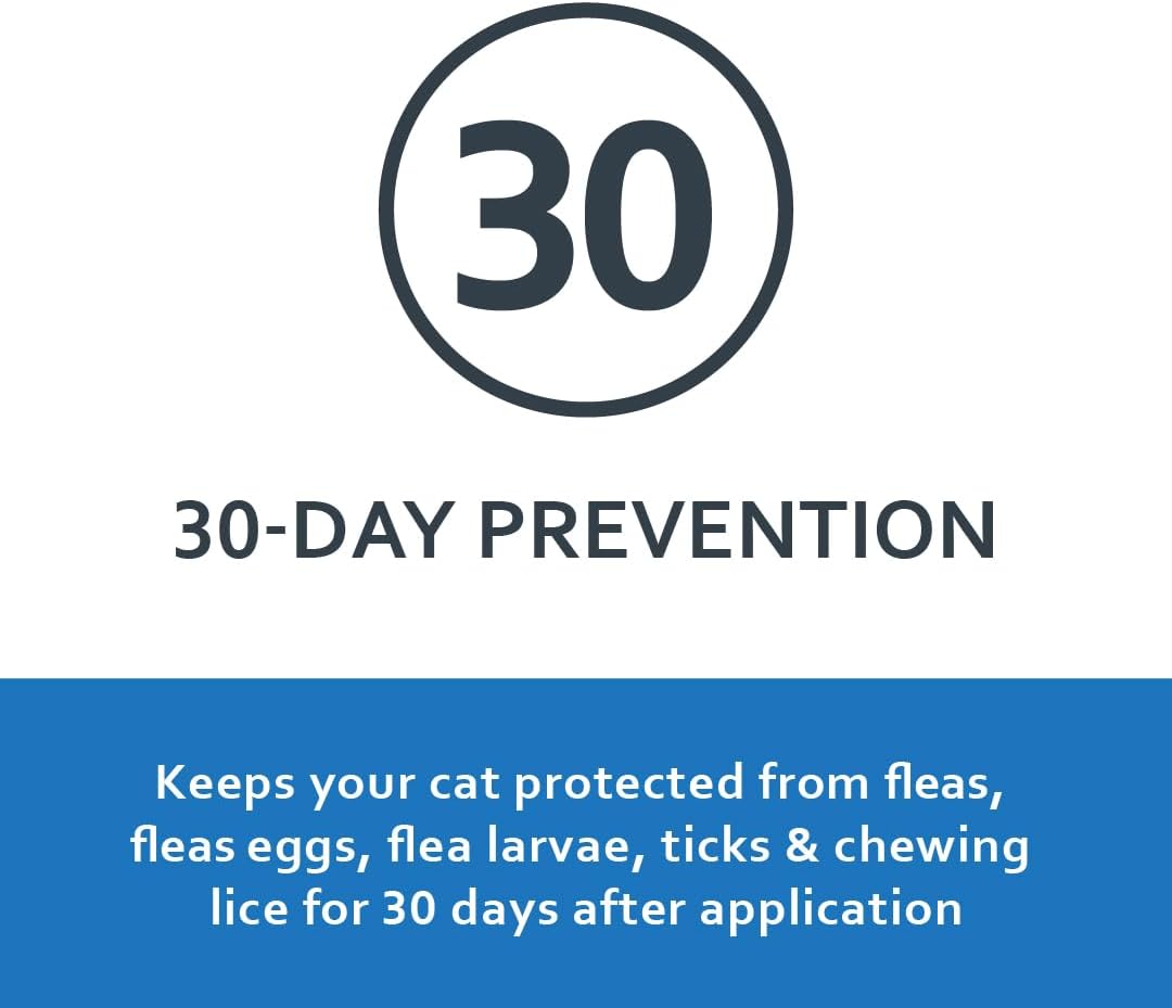 Premium USA imported cat flea and tick prevention treatment box