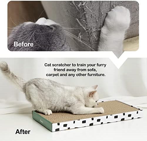Indoor cat resting comfortably on the durable kitty sofa lounge bed scratcher