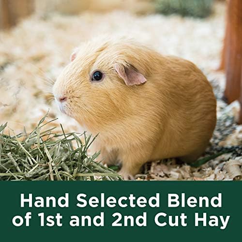 Kaytee Timothy Hay Plus Carrots brand label and size details