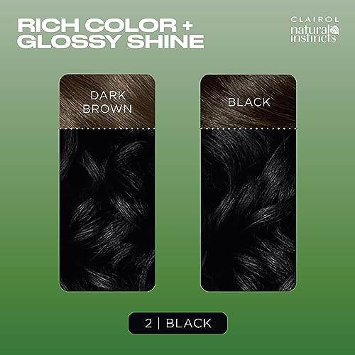Clairol Natural Instincts black shade results guide panel printed on the side of product packaging