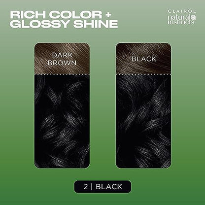 Clairol Natural Instincts black shade results guide panel printed on the side of product packaging