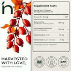 Close-up of the non-GMO and GMP manufactured certifications on the Nutrition Republic wellness supplement packaging.