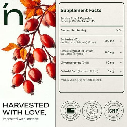 Close-up of the non-GMO and GMP manufactured certifications on the Nutrition Republic wellness supplement packaging.