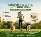 Person walking two dogs with Blivorra hands-free leash