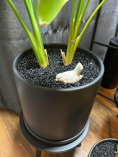 Comparison of black crystal chips in a fish tank setting