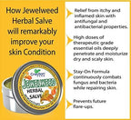 Creation Pharm Jewelweed Tea Tree Ointment for tattoo aftercare and itchy skin comfort application