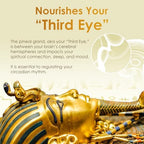 Nutraville Pharaohs Nectar XT ingredients and supplement facts
