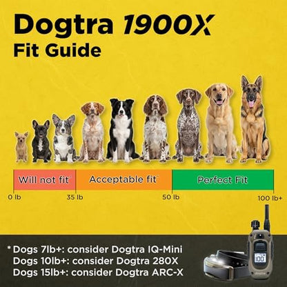 Dogtra long range remote trainer waterproof receiver with durable collar strap close up