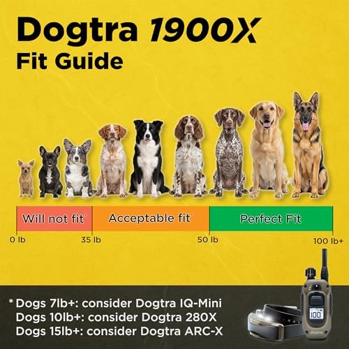 Dogtra long range remote trainer waterproof receiver with durable collar strap close up