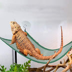 Adoggygo green mesh reptile lounger hanging in tank