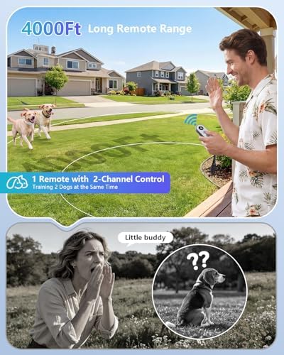 Patpet remote control for pet training