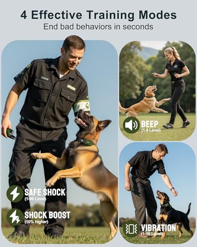 Jugbow electronic collar for dogs showing reflective adjustable strap
