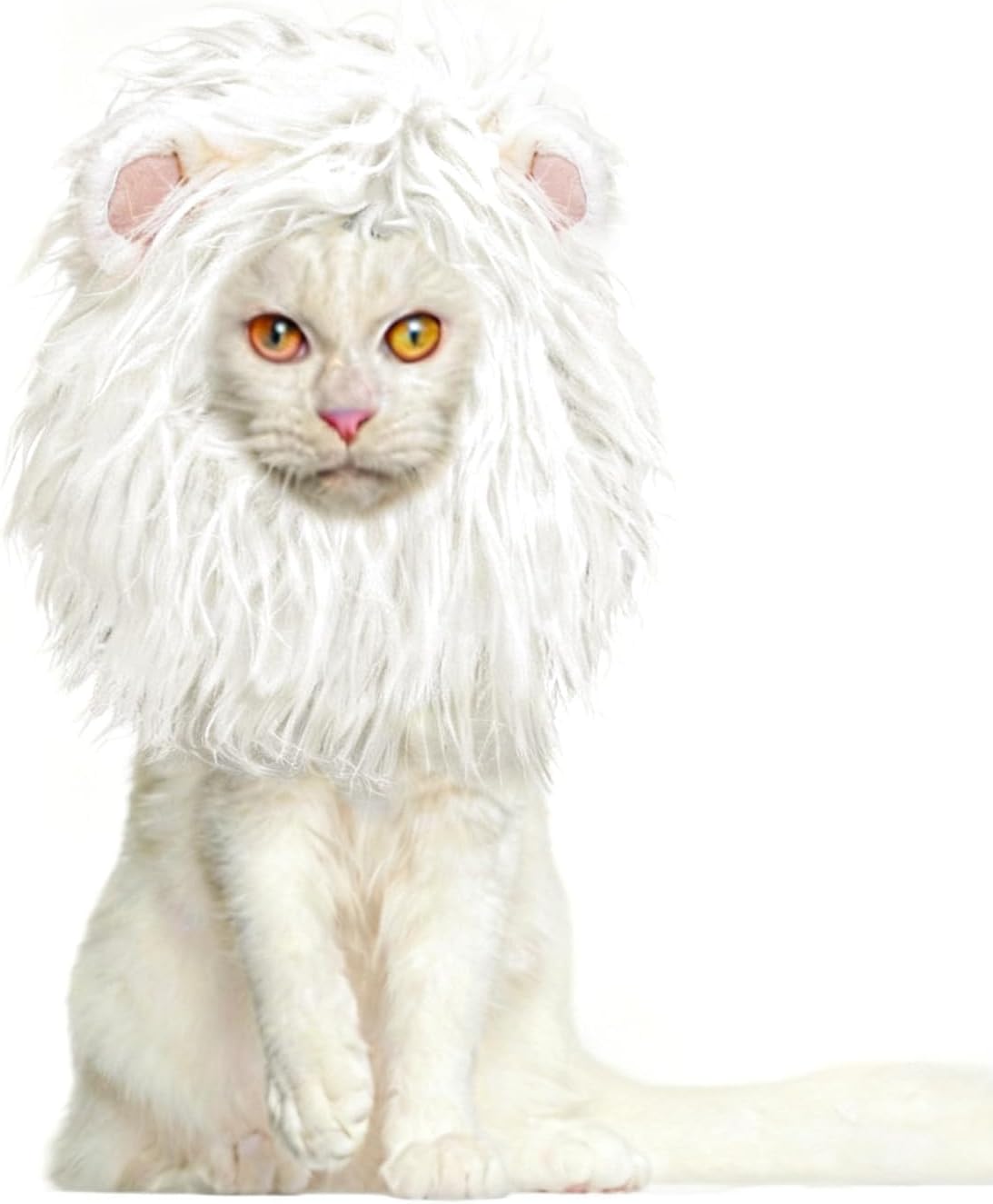 Small dog dressed as a lion with plush wig