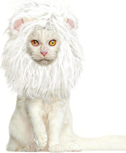 Small dog dressed as a lion with plush wig